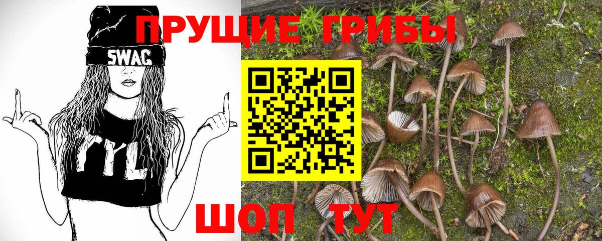 Галлюциногенные грибы Psilocybe  Галлюциногенные грибы GOLDEN TEACHER  Вход с VPN  Гуково 