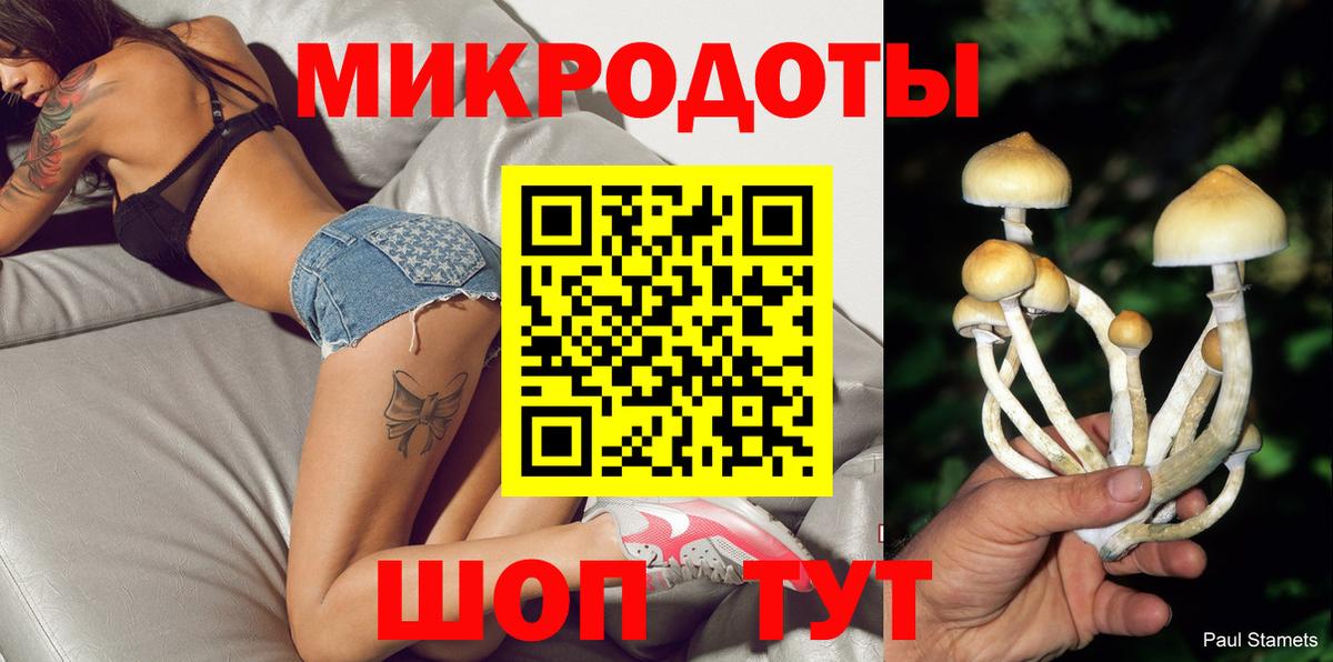 Галлюциногенные грибы MAGIC MUSHROOMS Гуково